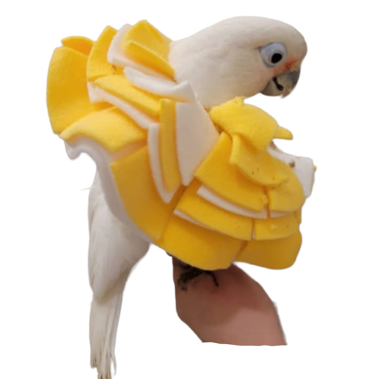 Soft Bird Collar for Goffin Cockatoo or Tanimbar Corella (7 Layers)