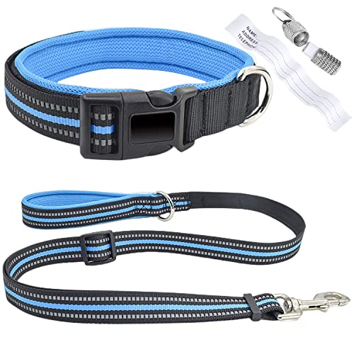 犬首輪 犬用リード 中型犬の人気商品・通販・価格比較 - 価格.com