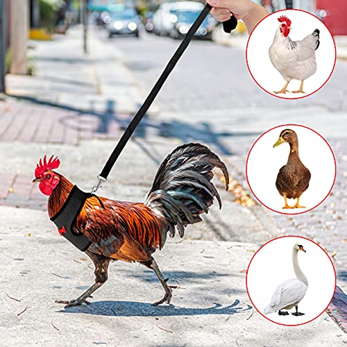 Molain Verstellbares Hühnergeschirr mit Leine, Bequeme Hühnerweste atmungsaktives Hühner Trainingsgeschirr Mesh Haustiergeschirr für 2–11 lb (1–5 kg) Ente Gans Henne Traning Medium (schwarz)