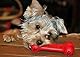 KONG Goodie Bone - Klassischer Hundeknochen aus Naturkautschuk - Leckerlispender - Für Mittelgroße Hunde - Rot