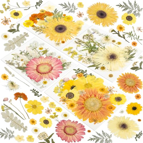 Image of 188 Pcs Dried Pressed Flowers for Resin Crafts, Real Natural Pressed Flowers and Leaves Kit Butterfly Stickers Vacuum Sealed Dry Flowers for DIY Epoxy Resin Jewelry Molds, Candle Soap Making, Nail Art