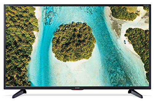 DIMENSIONE DELLO SCHERMO 106 cm (42”)