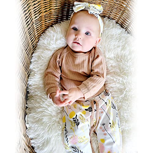 Baby Infant Girl Knit Pullover Long Sleeve Sweater Outfits Fall Winter Wildflower Floral Clothes Set 6-12 Months Apricot #TOP1
