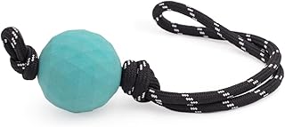 ZippyPaws ZippyTuff Waggle Ball RopeTugz - Durable Dog Toy for Aggressive Chewers, Rubber Dog Ball with Tug Rope for Medium & Large Dogs