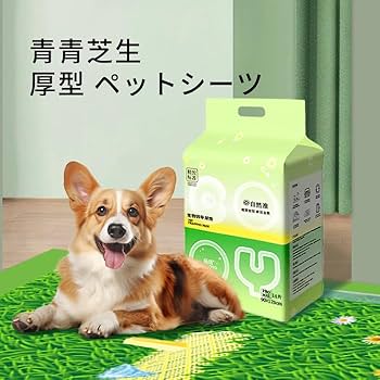 専用　ペットシーツ５枚 Famy ペットシーツ 薄型 厚型 レギュラー ワイド スーパーワイド