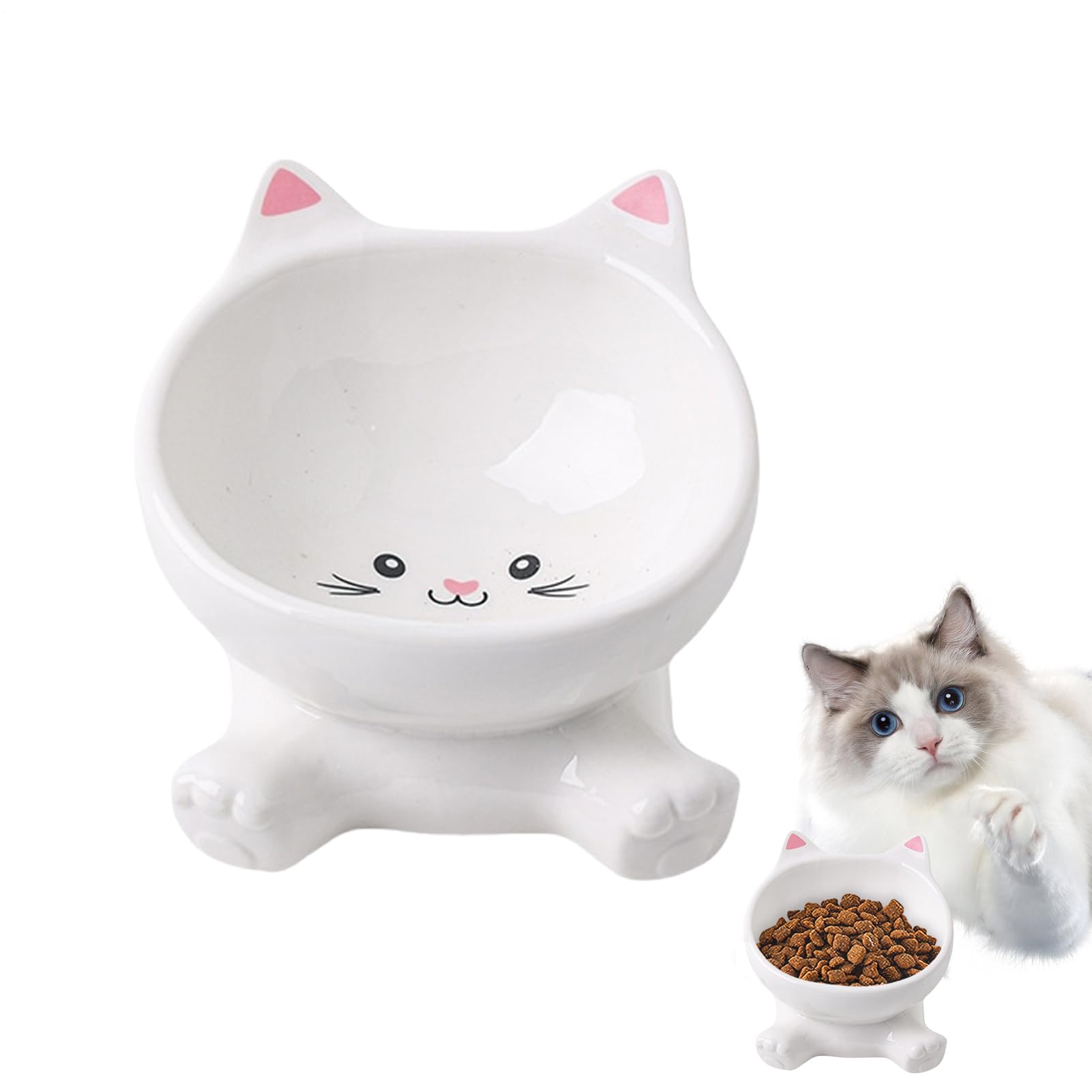 Bols surélevés pour chats : finis les vomissements et sols sales