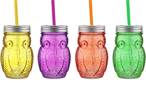 Circleware 69069 Mason Jars Drinking Glasses with Metal Lids and Hard Plastic Straws