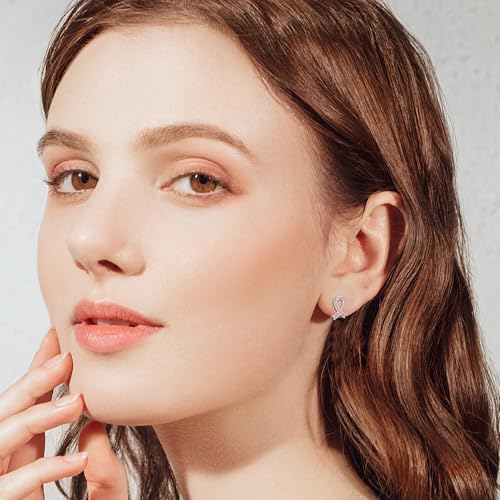 Breast Cancer Awareness Earrings Stud 925 Sterling Silver Pink Ribbon Breast Cancer Jewelry for Women2