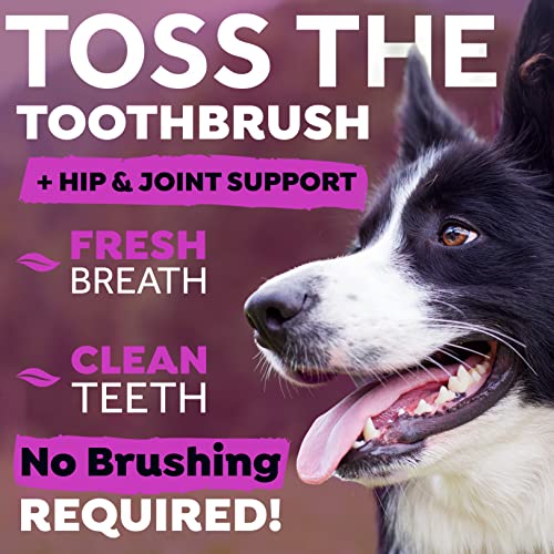Tropiclean Fresh Breath Dog Dental Water Additive - Dog Breath Freshener For Hip & Joint Support, 33.8 Ounce #TOP1