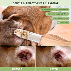 60-pcs-Extra-Large-Dog-Ear-Wipes-Ear-Cleaner-for-Dogs-and-Cats-Remove-Ear-Wax-Debris-Gently-Soothes-Deodorizes-All-Natural-Ingredients-Coconut-Scent-with-Cotton-Swabs - Cucciolini Doodles   60-pcs-Extra-Large-Dog-Ear-Wipes-Ear-Cleaner-for-Dogs-and-Cats-Remove-Ear-Wax-Debris-Gently-Soothes-Deodorizes-All-Natural-Ingredients-Coconut-Scent-with-Cotton-Swabs