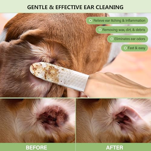 60-pcs-Extra-Large-Dog-Ear-Wipes-Ear-Cleaner-for-Dogs-and-Cats-Remove-Ear-Wax-Debris-Gently-Soothes-Deodorizes-All-Natural-Ingredients-Coconut-Scent-with-Cotton-Swabs - Cucciolini Doodles   60-pcs-Extra-Large-Dog-Ear-Wipes-Ear-Cleaner-for-Dogs-and-Cats-Remove-Ear-Wax-Debris-Gently-Soothes-Deodorizes-All-Natural-Ingredients-Coconut-Scent-with-Cotton-Swabs