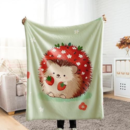 ѕz VO ӂӂ uPbg blanket for winter G| ͂˂ݕ ~ Ƃӂ blanket for all season Ђ| ~p  Ódh~ y ΍ Ȃ߂炩 lGKp