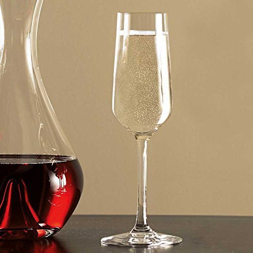 Stolzle Revolution Sparkling Flute Champagne Glasses Set di 6