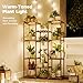 Bamworld Plant Stand with Grow Light Plant Shelf for Mutiple Pots Large Plant Holder for Living Room Patio Boho Home Decor for Gardening Warm Light