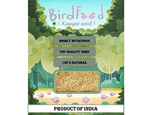 See full amazon price history chart for Bird Food 10 KG | Foxtail Millet | Kangani Seeds for Birds | Food for Budgies, 10 KG Bird Food 10 KG | Foxtail Millet | Kangani Seeds for Birds | Food for Budgies, 10 KG (B08L7QWPZZ) Amazon Price History, Amazon Price Tracker