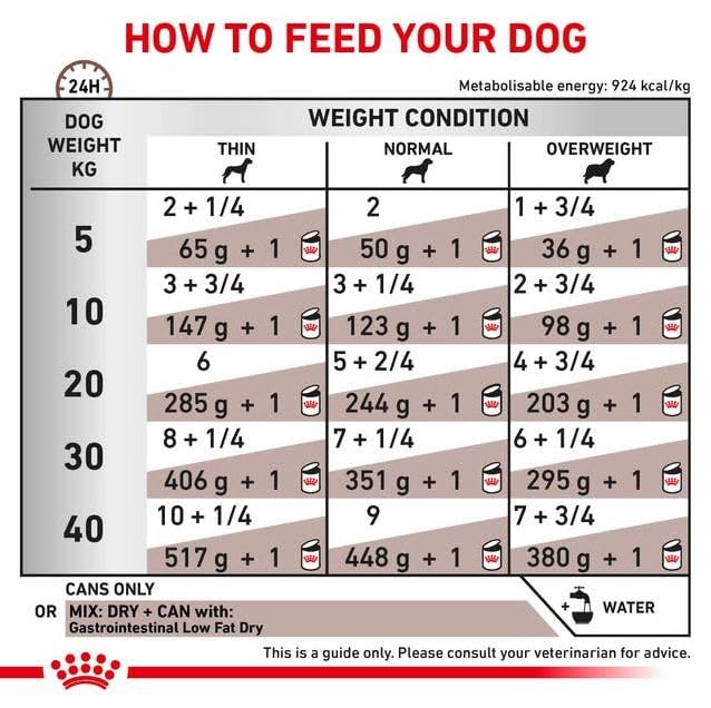 Royal Canin Veterinary Gastrointestinal Low Fat Mousse | 12 x 200 g | Diät-Alleinfuttermittel für ausgewachsene Hunde