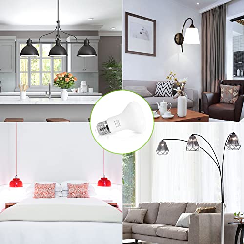 AIMHEIM Lampadine LED E27 Luce Fredda 6000K