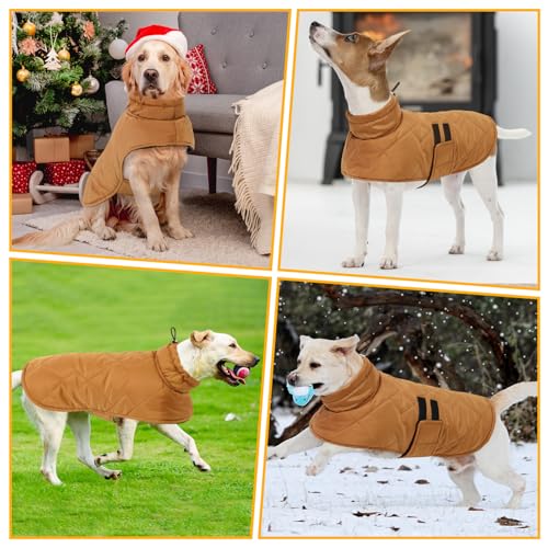 CITÉTOILE Hundemantel für Kleine Hunde, Hundemantel Winter,Winddichte Hundejacke für Hund Indoor & Outdoor Camping Wandern