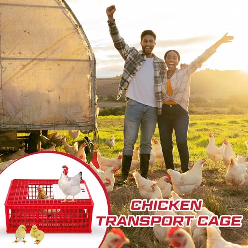 Image of GlikCeil 2 Pcs Poultry Carrier Crate 3 Door Chicken Duck Transport Cage Plastic Poultry Carrier Basket Box for Chicken Duck Goose Birds, 29.53 x 21.65 x 11.42 Inch(Red)
