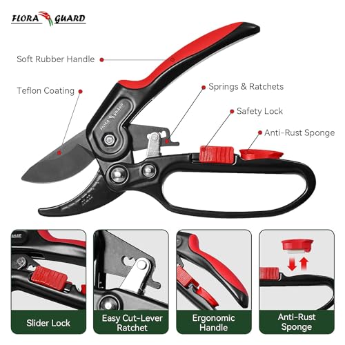 FLORA GUARD 8" Professional Ratchet Anvil Secateurs, Ratcheting Mechanism, Reinforced Design Handle, Gardening Secateurs, Anvil Garden Pruner 4 FLORA GUARD 8" Professional Ratchet Anvil Secateurs, Ratcheting Mechanism, Reinforced Design Handle, Gardening Secateurs, Anvil Garden Pruner - Image 4