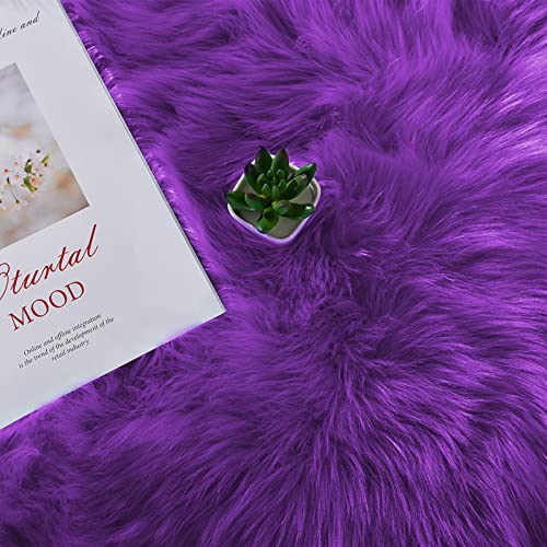 Latepis Purple Sheepskin Large 5x7 Area Rugs for Living Room Throw Rugs for Bedroom Washable Faux Fur Rug Fluffy Fuzzy Boho Rug Home Decor Rectangle