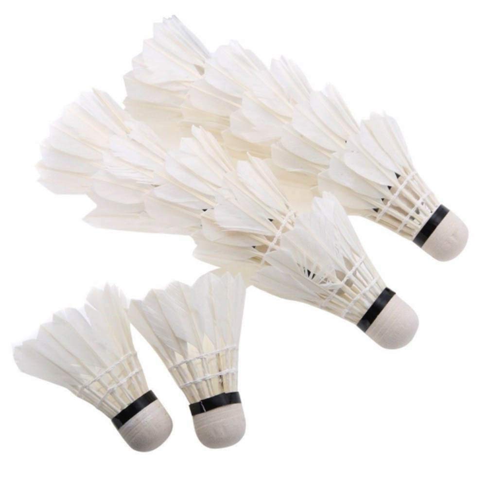 Generic Shuttlecock Feather Shuttle Cock White Pack of 10 (B09RJFJPQF) Amazon Price History, Amazon Price Tracker
