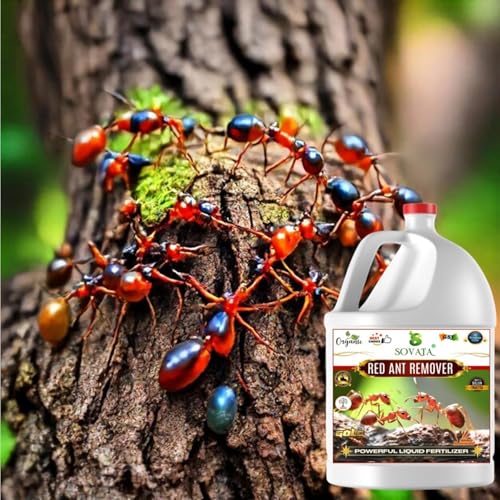 Image of Red Ant Remover, Essential Organic Powerful Liquid Insecticide for Removing all types of red ants and insects from Plants and soil. (500 ml)