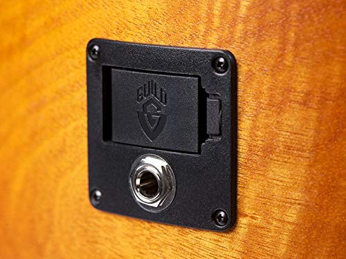 Guild D-240E LTD – guitare électro-acoustique - Les Beatles, Paul McCartney, John Lennon, RIngo Starr, George Harrison Guild D-240E LTD - guitare électro-acoustique – Image 7