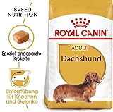 Royal Canin Dachshund Adult | 500 g | Alleinfuttermittel für ausgewachsene Dackel ab dem 10. Monat
