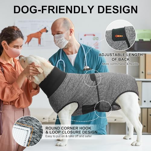 Image of BEAUTYZOO Dog Surgery Recovery Suit, Female Spay, Male Neuter, Anti Licking