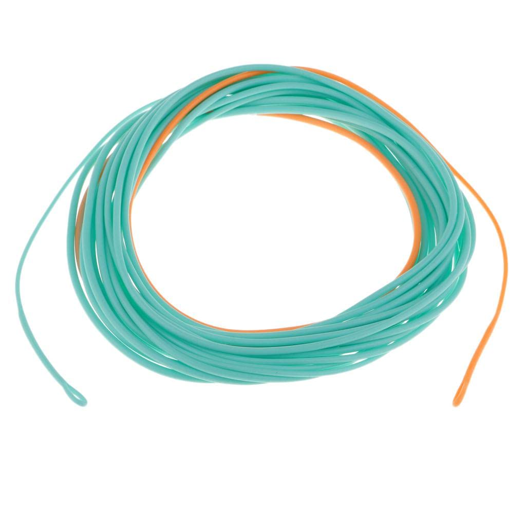 Skagit Head Floating Fly Fishing Line for Long Casting & Fast Action - Powerful Front End, Low Stretch Core, Blue/Orange Color - for Fast Flowing Water, Perfect for Experienced - 17FT 200gr