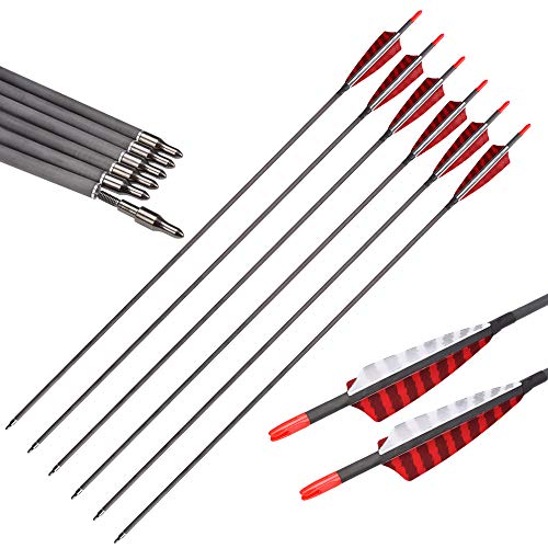 Hunter Ian Archery Pure Carbon Arrows 700 Spine 30 Inch Turkey Feather Fletching Screw in Field