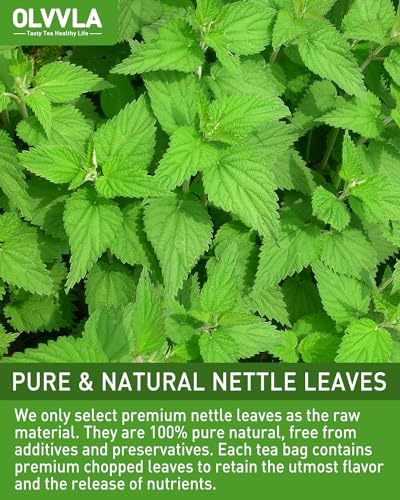 Image of Olvvla - Premium Nettle Leaf Tea - 1.5g X 60 Count - 100% Pure Natural Stinging Nettle Tea Bag - Caffeine-free - Non-GMO - Rich in Antioxidants & Support Bone Health