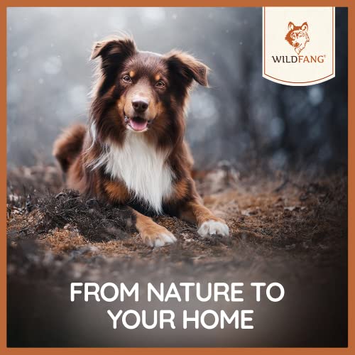 Wildfang® Premium Hunde-Nassfutter I Monoprotein I getreidefrei I B.A.R.F Qualität (Rind pur, 6 x 400g)