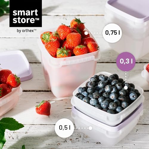 SmartStore Frischhaltedosen mit Deckel und Kühlschrank Organizer 0.3L 6er Set | Geeignet für Kühlschrank und Gefrierschrank… – Ansicht 6