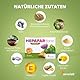 Mariendistel Artischocke Löwenzahn Komplex - Leber - Vitamin E, Phospholipide - Innovative Patentierte Formel mit Hoher Bioverfügbarkeit - 60 Kapseln Hochdosiert - Hepafar Forte Premium Sensilab