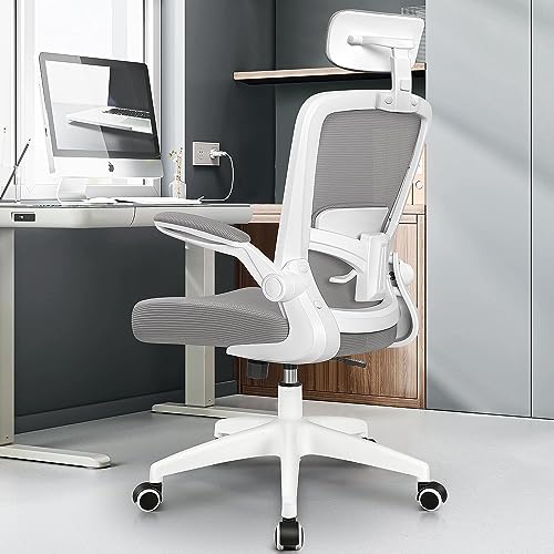 FelixKing - Silla de oficina ergonómica, silla de escritorio con reposacabezas ajustable, reposabrazos, soporte lumbar, respaldo alto, silla de ordenador, capacidad de carga de 136 kg, gris