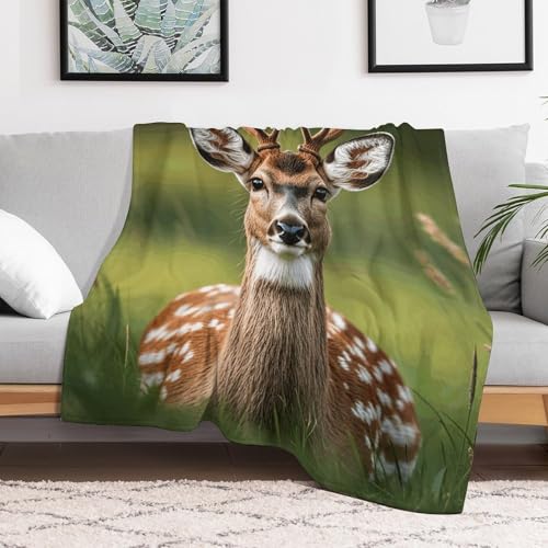 Couverture flanelle cerf mignon jeté de canapé cosy - 6