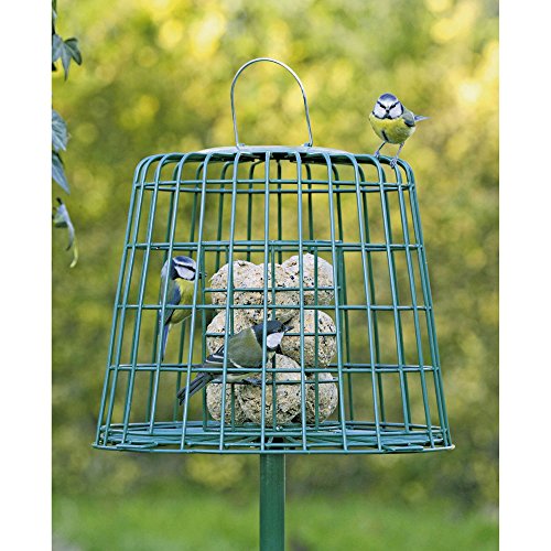 C J Wildlife Guardian Fat Ball & Suet Feeder Green 26x31cm