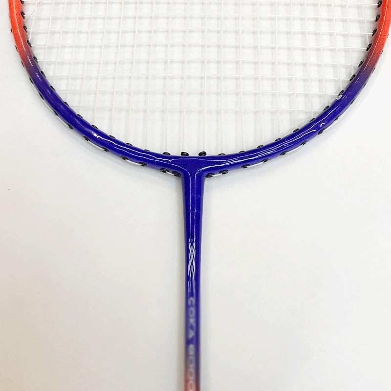 Alloy Badminton Racket Cocka Set Adult Training Outdoor Sports Light Racket