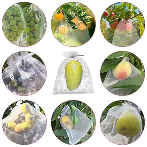 Bolsas protectoras para frutas que evitan plagas en los árboles 7