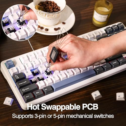 Image of AULA F87 Wireless Mechanical Keyboard | 75% TKL Gasket Custom Hot Swappable, 2.4Ghz /Type-C /Bluetooth Gaming | Pre-lubed Switch RGB Backlit (Smoke Blue, GrayWood Switch)