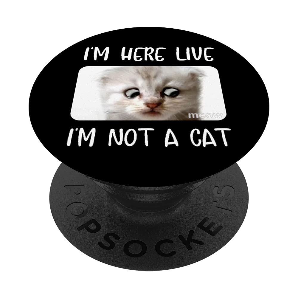 Amazon Com I M Here Live I M Not A Cat Zoom Call Meme Humor Funny Popsockets Swappable Popgrip Cell Phones Accessories Amazon Com I M Here Live I M Not A Cat Zoom Call Meme Humor Funny Popsockets Swappable Popgrip Cell Phones Accessories