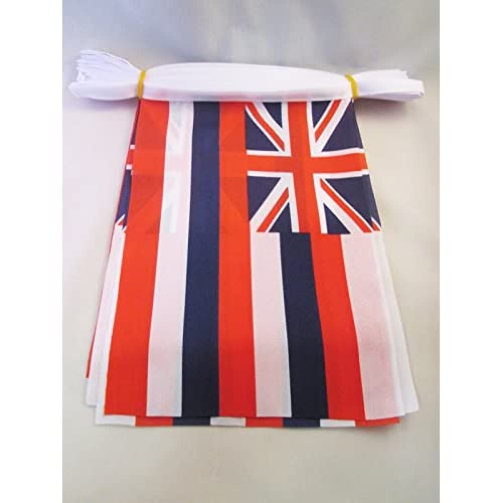 AZ FLAG Hawaii Bunting 20 ft 20 flags Light Polyester
