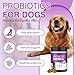 TTLXRL Probiotics for Dogs Digestive Health Gut Health Dog Probiotics for Itching Diarrhea Gas Relief Pumpkin Probiotic for Dogs 200 Natural Soft Chewable Tablets