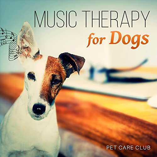 Amazon MusicでPet Care ClubのMusic Therapy for Dogs – Calming Music to Relax and Calm Down Your ...