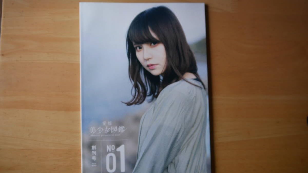 Amazon.co.jp: フリーペーパー 愛媛美少女図鑑 Volume.1（創刊号 