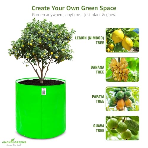 Image of Anandi Green's HDPE 30x30 Inch Pack of 1 Extra Large Grow Bag 360 GSM Round for Big Fruit Trees - Lemon, Guava, Papaya, Pomegranate, Banana | Tree Planter Pot for Terrace & Garden