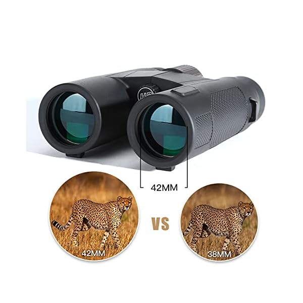 12x42 Hd Fernglas Fmc Objektiv FerngläSer EnthäLt Hohe LichtdurchläSsigkeit Prisma Zoom Feldstecher Wasserdicht Geeignet – Bild 5