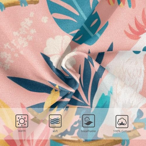 Bird Paradise Baby Boys Pure Cotton Kids Underwear Cute Children Undies3